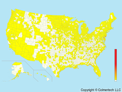 Short-billed Dowitcher (Limnodromus griseus) - United States