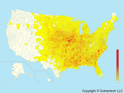 Red-headed Woodpecker (Melanerpes erythrocephalus) - United States