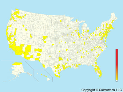 Budgerigar (Melopsittacus undulatus) - United States