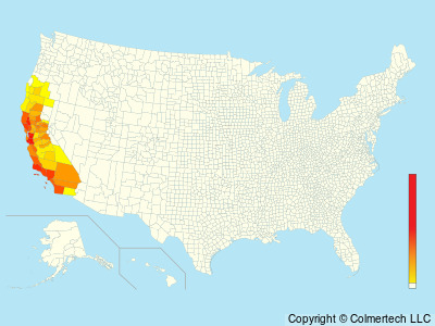 California Towhee (Melozone crissalis) - United States