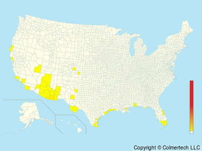 Sulphur-bellied Flycatcher (Myiodynastes luteiventris) - United States