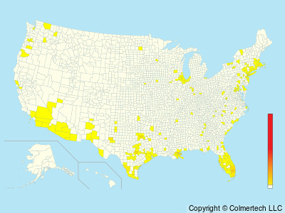 Monk Parakeet (Myiopsitta monachus) - United States