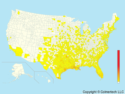 Yellow-crowned Night Heron (Nyctanassa violacea) - United States