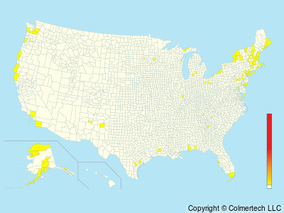 Northern Wheatear (Oenanthe oenanthe) - United States
