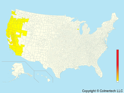 Mountain Quail (Oreortyx pictus) - United States