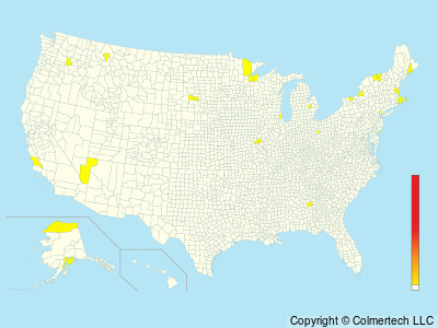 Ivory Gull (Pagophila eburnea) - United States