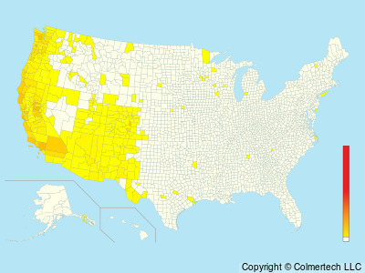 Band-tailed Pigeon (Patagioenas fasciata) - United States