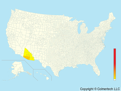 Rufous-winged Sparrow (Peucaea carpalis) - United States