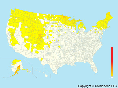 Pine Grosbeak (Pinicola enucleator) - United States