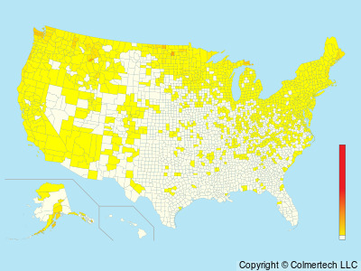 Red-necked Grebe (Podiceps grisegena) - United States