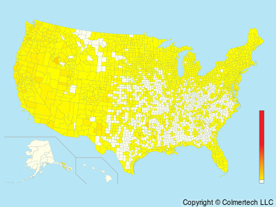 Virginia Rail (Rallus limicola) - United States