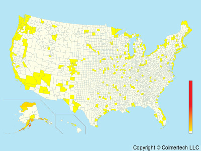 Black-legged Kittiwake (Rissa tridactyla) - United States