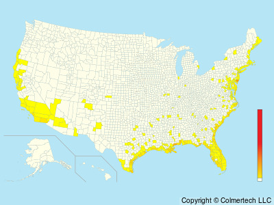 Black Skimmer (Rynchops niger) - United States