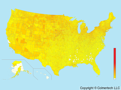 Northern Yellow Warbler (Setophaga aestiva) - United States
