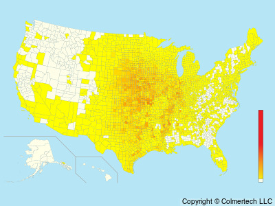 Dickcissel (Spiza americana) - United States
