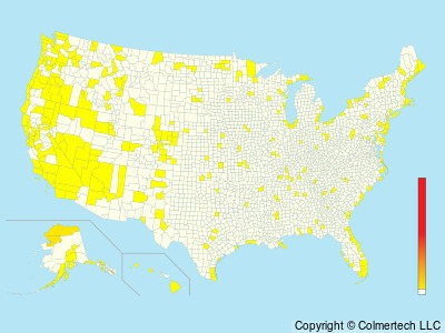 Long-tailed Jaeger (Stercorarius longicaudus) - United States