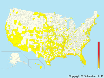 Least Tern (Sternula antillarum) - United States