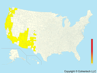 Spotted Owl (Strix occidentalis) - United States