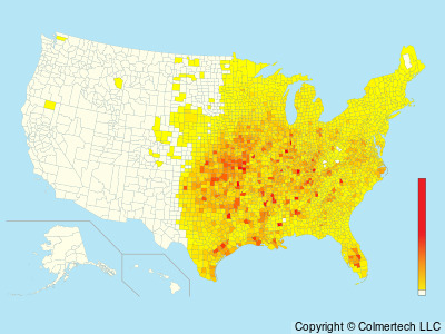 Eastern Meadowlark (Sturnella magna) - United States