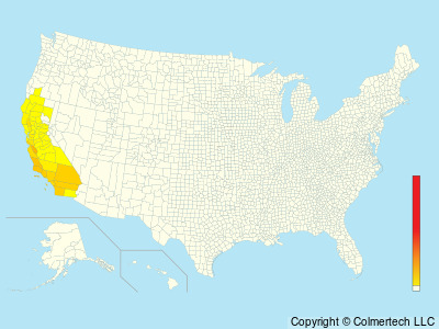 California Thrasher (Toxostoma redivivum) - United States