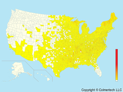 Winter Wren (Troglodytes hiemalis) - United States