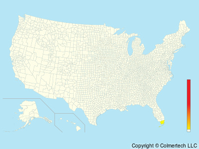 Loggerhead Kingbird (Tyrannus caudifasciatus) - United States