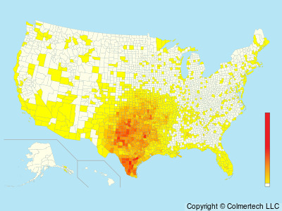 Scissor-tailed Flycatcher (Tyrannus forficatus) - United States