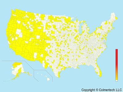 Sabine's Gull (Xema sabini) - United States