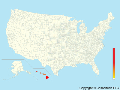 Warbling White-eye (Zosterops japonicus) - United States