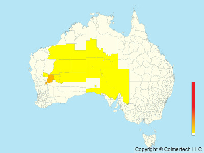 Sandhill Grasswren (Amytornis oweni) - Australia