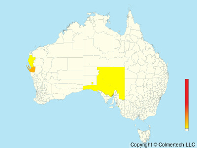 Western Grasswren (Amytornis textilis) - Australia