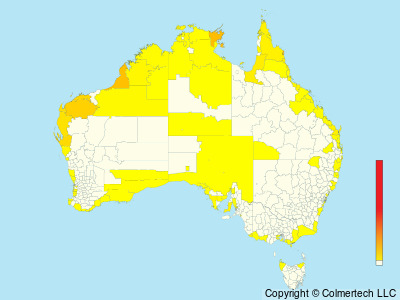 Greater Sand-Plover (Anarhynchus leschenaultii) - Australia