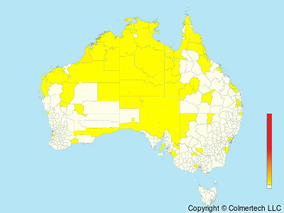 Oriental Plover (Anarhynchus veredus) - Australia
