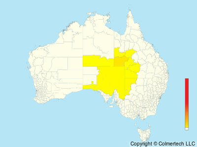 Gibberbird (Ashbyia lovensis) - Australia