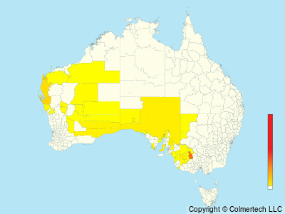 Rufous Fieldwren (Calamanthus campestris) - Australia