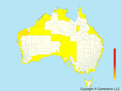 Sanderling (Calidris alba) - Australia