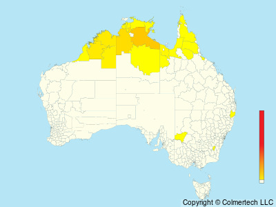 Gouldian Finch (Chloebia gouldiae) - Australia