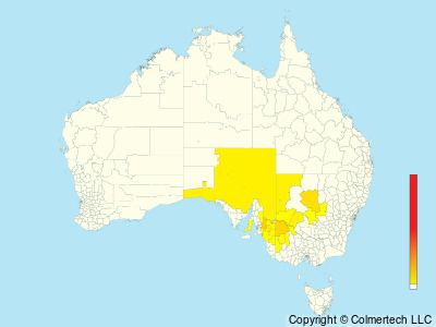 Chestnut Quail-thrush (Cinclosoma castanotum) - Australia