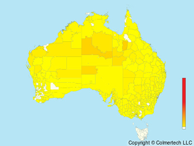 Spotted Harrier (Circus assimilis) - Australia