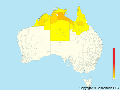 Banded Honeyeater (Cissomela pectoralis) - Australia