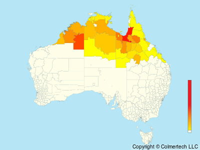 Rufous-throated Honeyeater (Conopophila rufogularis) - Australia