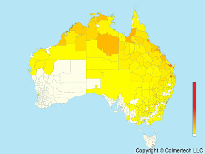 Plumed Whistling-Duck (Dendrocygna eytoni) - Australia