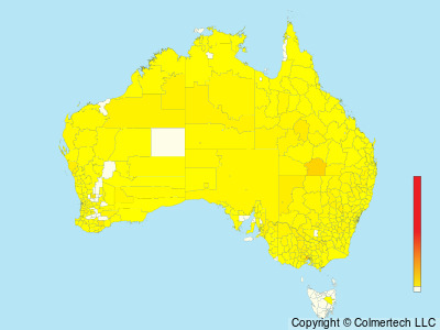 Little Eagle (Hieraaetus morphnoides) - Australia