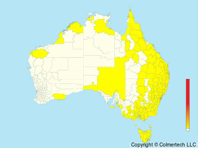 White-throated Needletail (Hirundapus caudacutus) - Australia