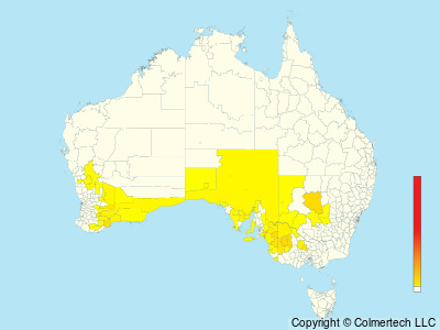 Shy Heathwren (Hylacola cauta) - Australia