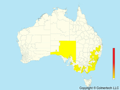 Chestnut-rumped Heathwren (Hylacola pyrrhopygia) - Australia