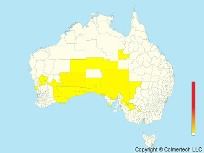 Scarlet-chested Parrot (Neophema splendida) - Australia