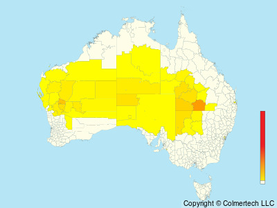 Bourke's Parrot (Neopsephotus bourkii) - Australia