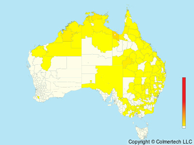 Barking Owl (Ninox connivens) - Australia
