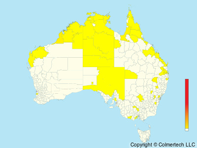 Little Curlew (Numenius minutus) - Australia